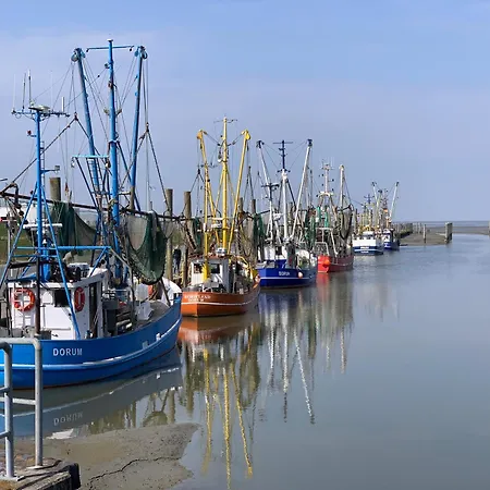 Apartament Dorumer Seestern - Mit Terrasse Und Sauna